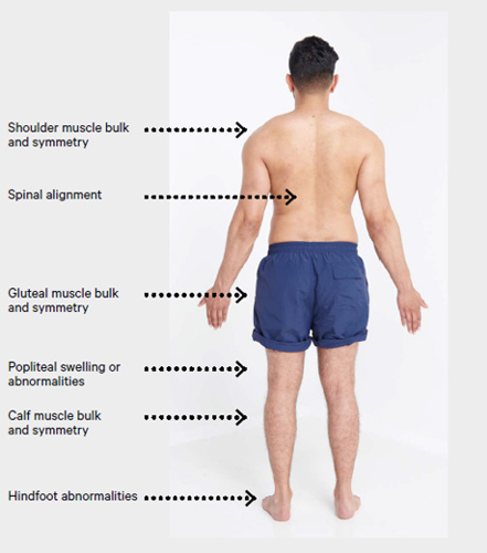 An image of the back of a man and what needs to be checked.