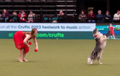 Lorna and her collie dog competition at Crufts