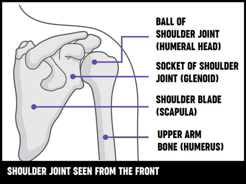 Shoulder And Elbow Replacement Versus Arthritis - 