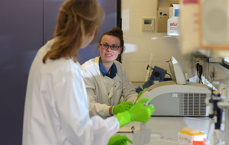 Two researchers in a lab