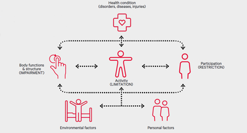 Model of disability diagram.