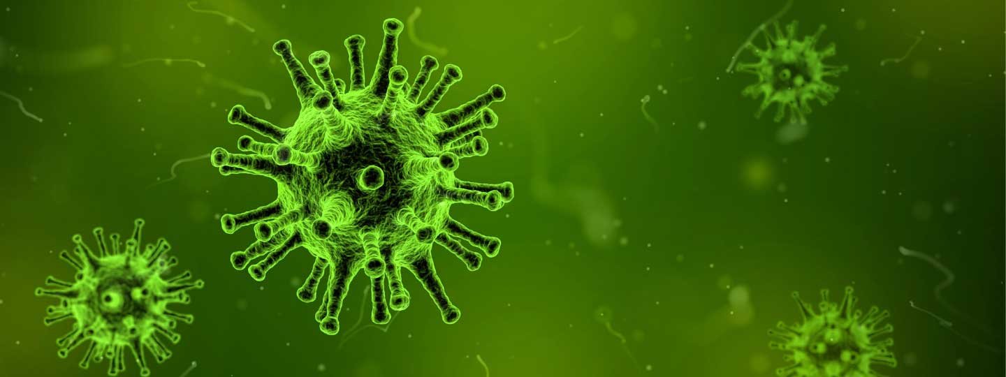 Virus - Viruses: What are they and what do they do? / Viruses possess unique infective properties and thus often cause.