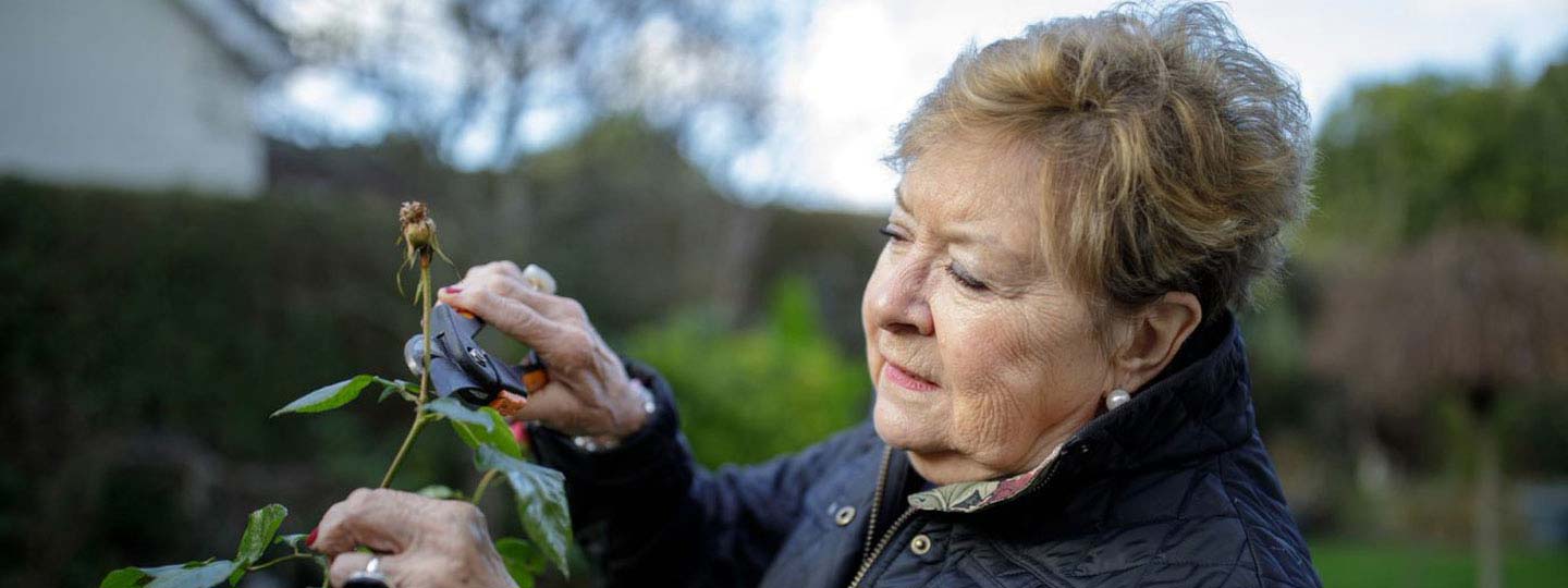 Maureen pruning roses in her garden.