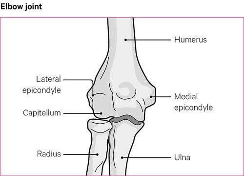 The main parts of an elbow