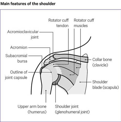 Can Shoulder Pain Cause Tooth Pain thumbnail