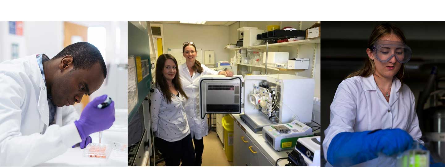 Researchers in a lab at our tissue engineering centre.