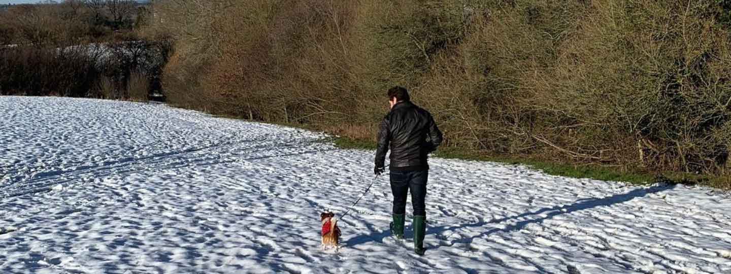 Paul walking his dog in the snow.
