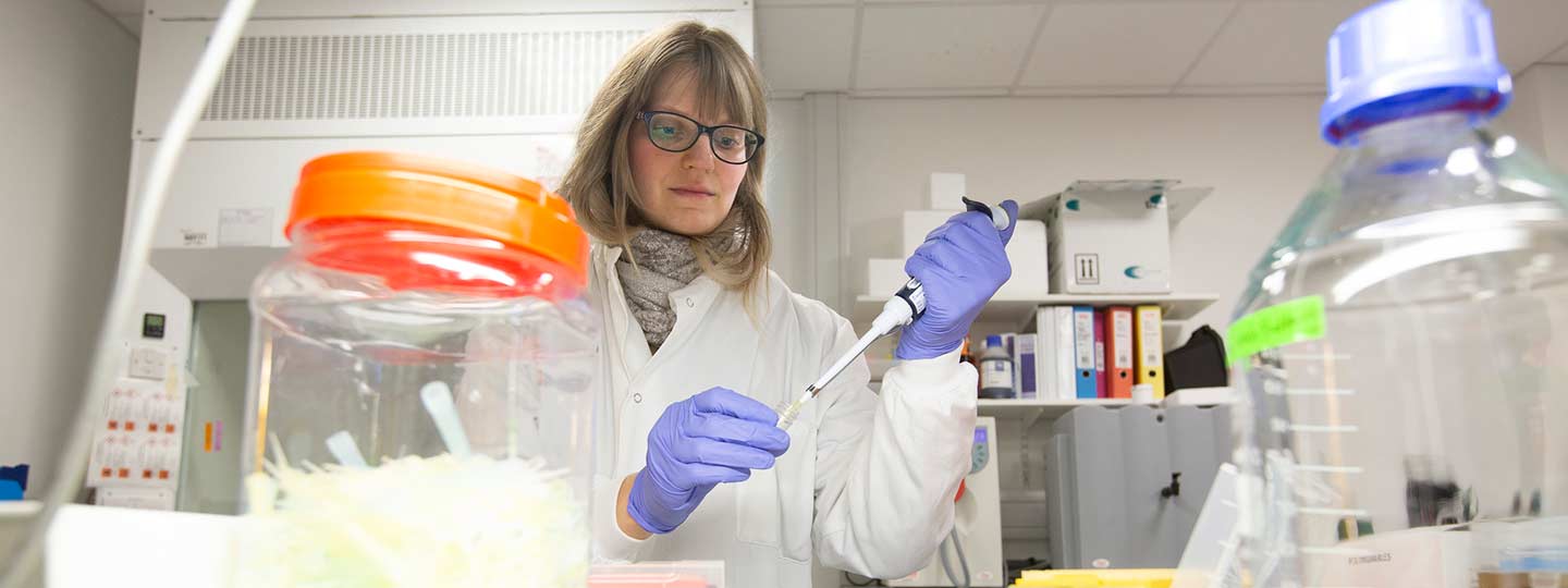 A researcher in a lab.