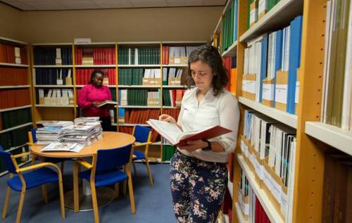 Researcher reading book in library