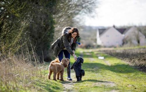 Woman walking her dogs on country lane