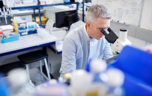 Researcher using microscope