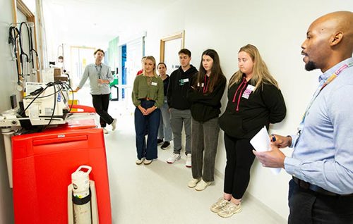Alder Hay Lab