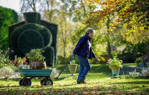 Woman carrying plant pots using a wheelbarrow in a beautiful landscaped garden