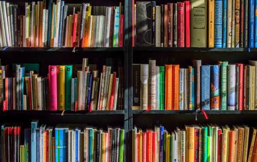 Shelf filled with colourful books