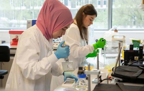 Researchers pipetting