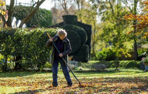 Woman raking leaves