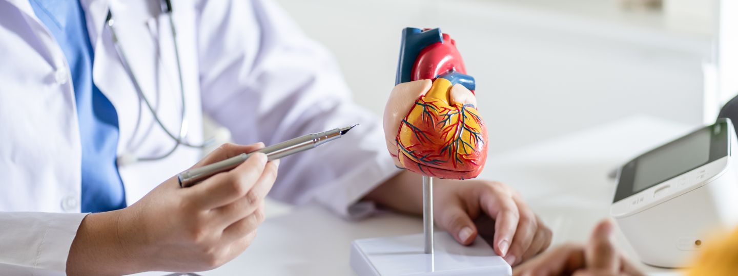 Doctor wearing stethoscope pointing at heart sculpture with fountain pen